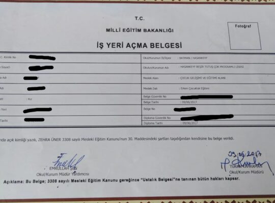 çocuk gelişimi ve eğitimi alanında