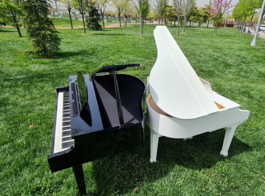 Kiralık Kuyruklu Piano