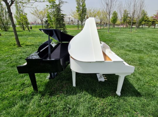 Kiralık Kuyruklu Piano