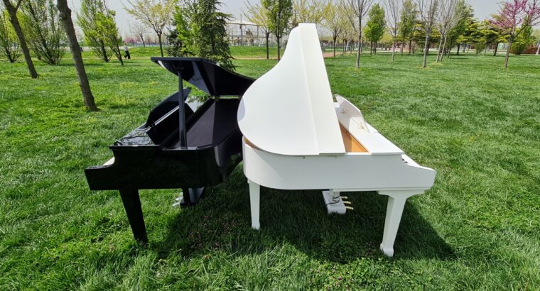 Kiralık Kuyruklu Piano
