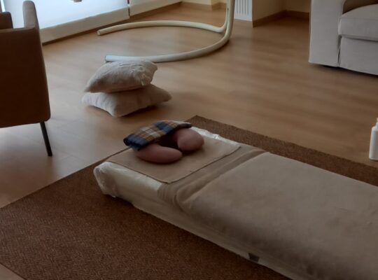 EV DE MASAJ HİZMETLERİ